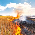 Stubble Burning