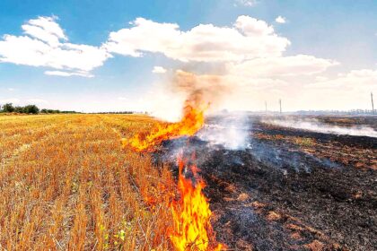 Stubble Burning