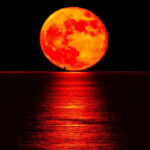 Lunar Eclipse