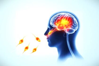 Brain Eating Amoeba