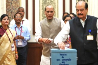 Vice Presidential Election