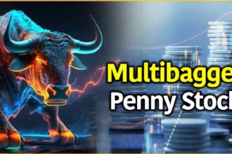 Multibagger Penny Stock