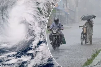 WB Weekly Weather Report