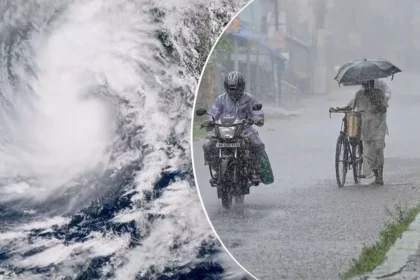 WB Weekly Weather Report