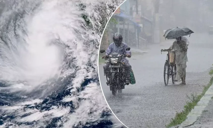 WB Weekly Weather Report