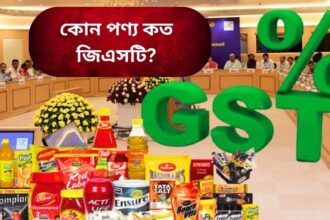 GST Council Meeting On FMCG