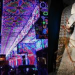 Chandannagar Jagaddhatri Puja