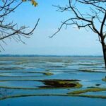 Floating National Park