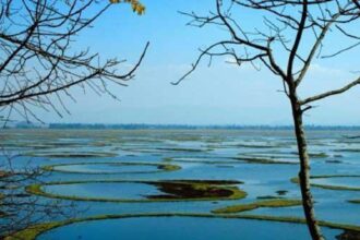 Floating National Park