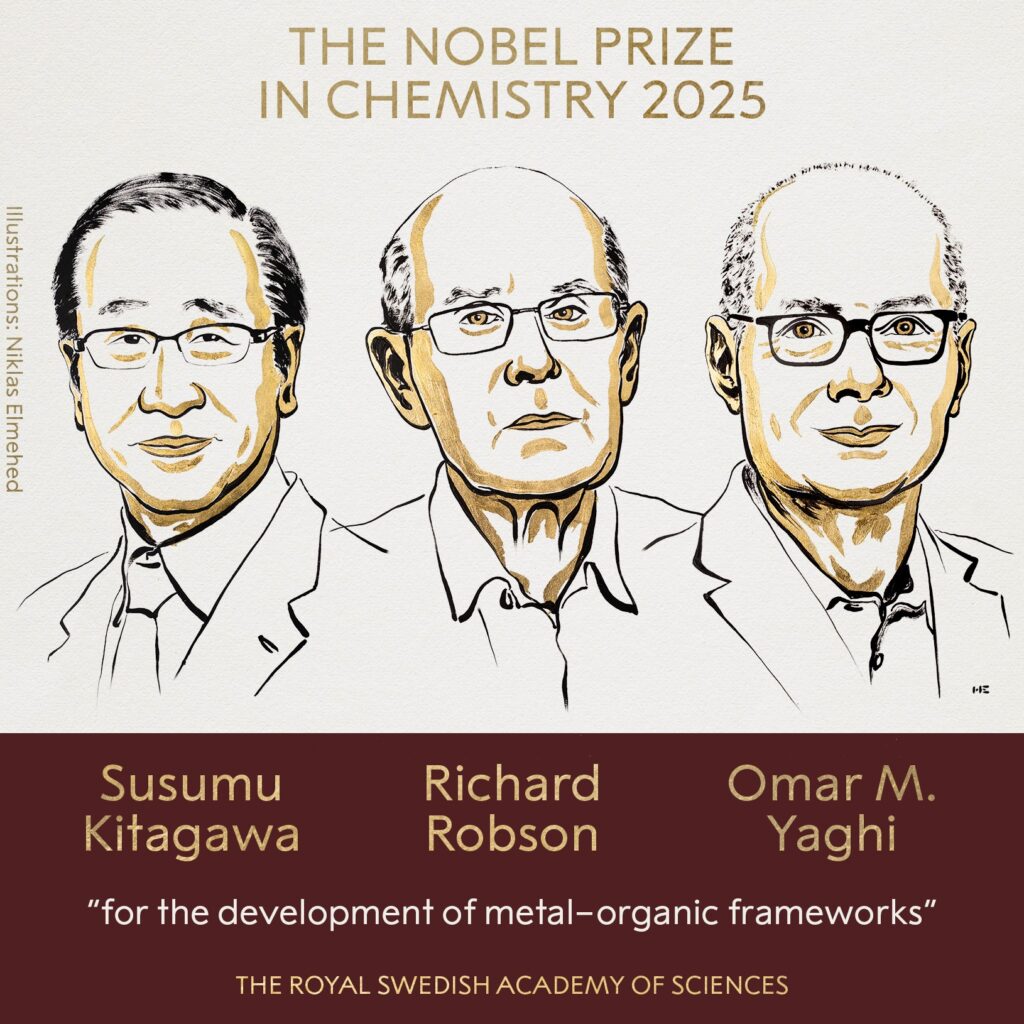Novel Prize 2025