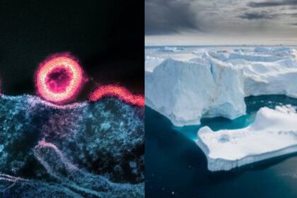 Pandemic Potential From Arctic Ice