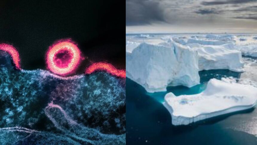 Pandemic Potential From Arctic Ice