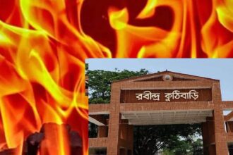 Visva Bharati University