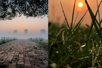 Weather Report Today