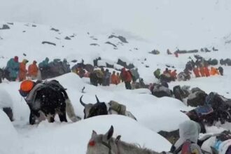 Tourists Stranded Everest