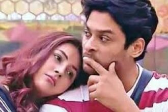 Shehnaaz- Sidharth