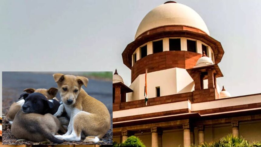 Supreme Court On Stray Dogs