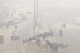 Delhi Air Quality