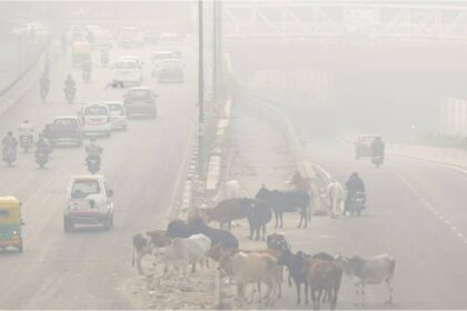 Delhi Air Quality