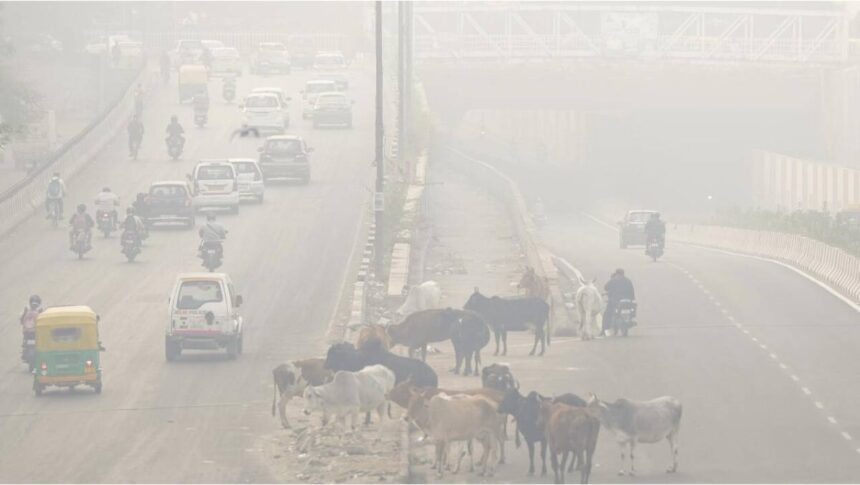 Delhi Air Quality