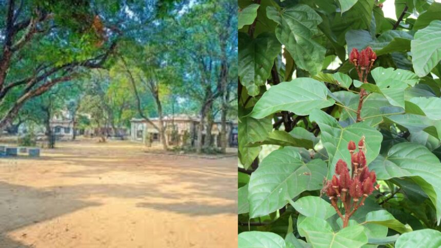 Shantiniketan