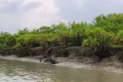 Sundarban