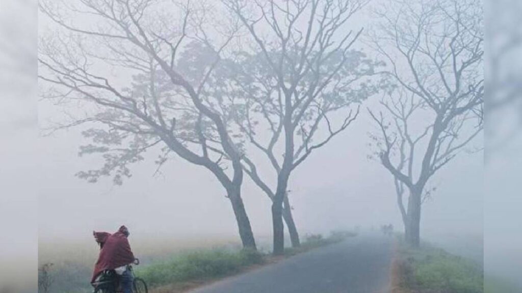 Winter Weather Update