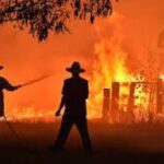 Australia Bushfire