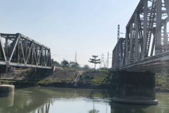 Underwater Robot Drones