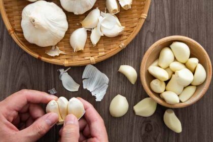 Garlic benefits