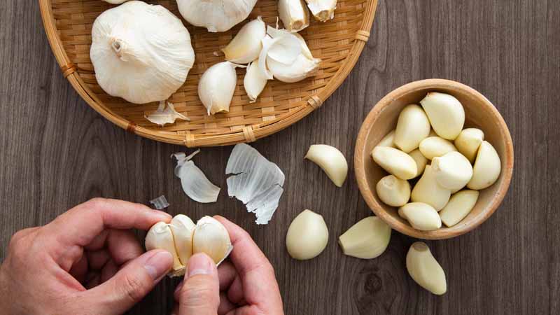 Garlic benefits