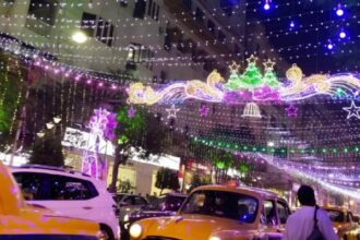 Christmas Celebration