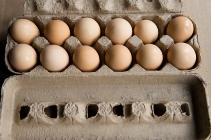 Egg Prices Hike