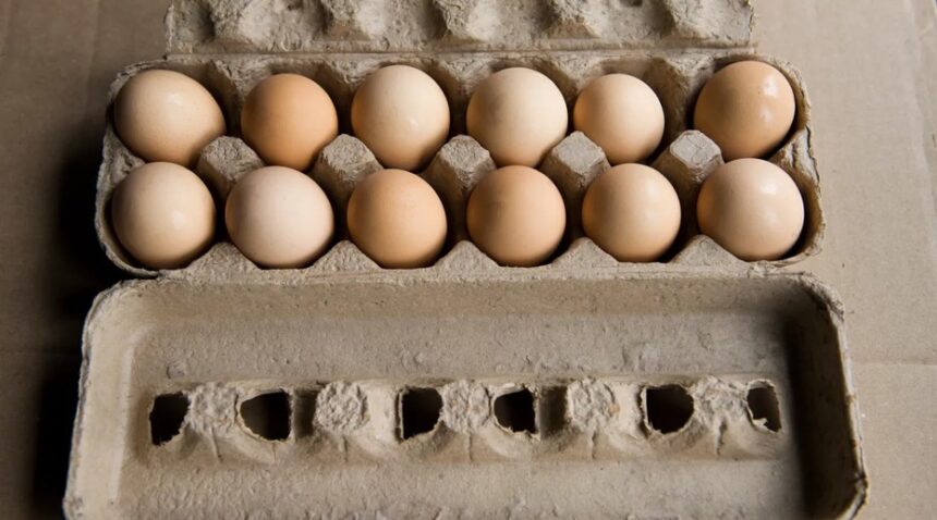 Egg Prices Hike
