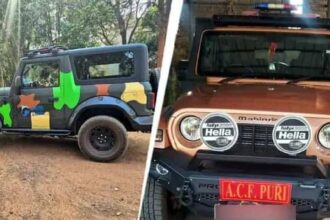 Forest Dept Controversy