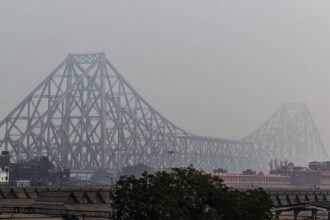 Polluted Air Toxicity