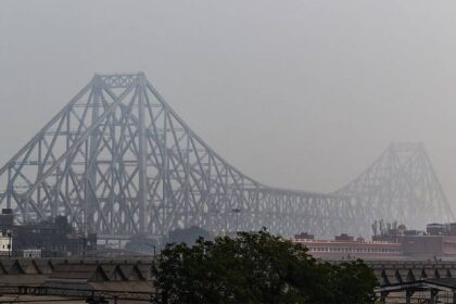 Polluted Air Toxicity