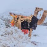 Saudi Arabias Snowfall_
