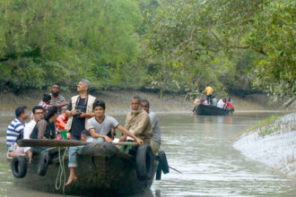 Sundarban