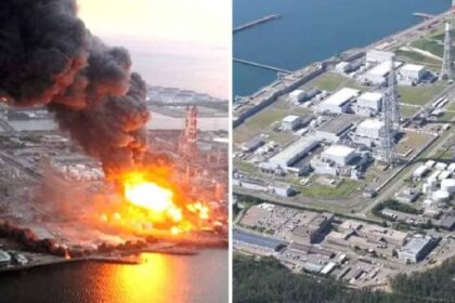 Largest Nuclear Plant