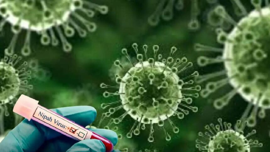 Nipah