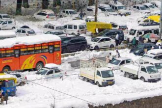 Manali Snowfall