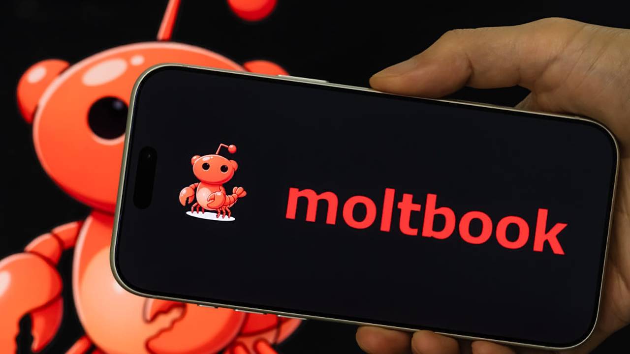AI Moltbook: ফেসবুকের পর এবার এআই-দের Moltbook: কোন গোপন তথ্য আলোচনা ...