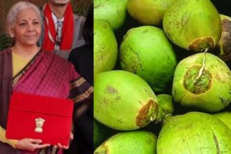 Budget Coconut