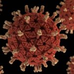 Rota Virus