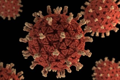 Rota Virus