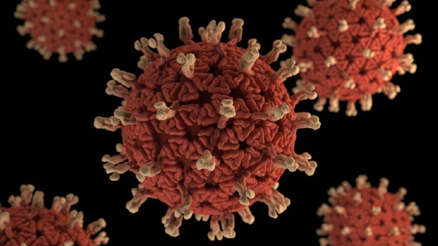 Rota Virus