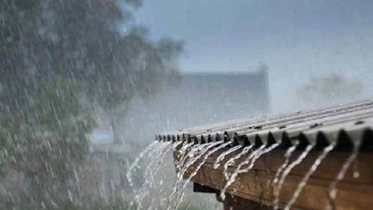 Bengal Weather Update