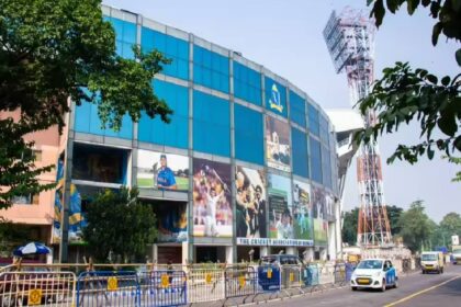 World Cup Cricket Traffic