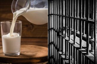 Lalbazar Lockup Meal